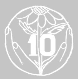 Логотип ГКОУ Нижегородская школа-интернат №10